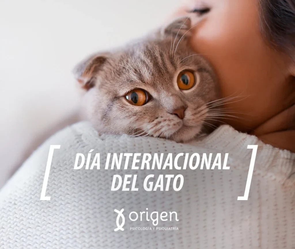 Tener un gato como mascota nos ayuda a reducir la depresión